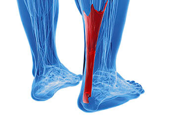 achilles tendon treatment in the New York, NY 10038 and New York, NY 10036 as well as Forest Hills, NY 11375 area